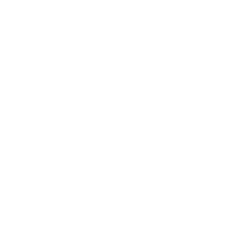Bodyof